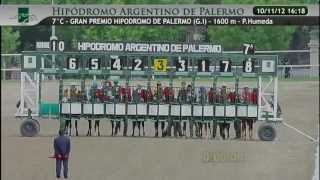 2012 Gran Premio Hipodromo de Palermo G1 SABA EMPEROR [upl. by Airamzul]