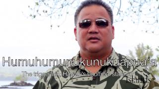 How To Speak Hawaiian [upl. by Phemia]