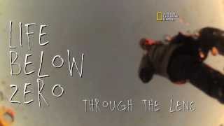 Life Below Zero Trailer [upl. by Ruomyes449]