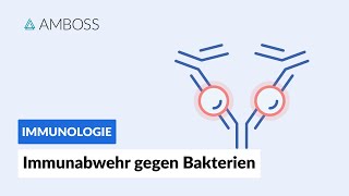 Immunabwehr gegen Bakterien  Immunologie  AMBOSS Video [upl. by Okomom]