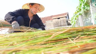 Thatched roof   Cut thatch leaves  Weaving leaves  Roofing  Lê Thị Dung [upl. by Akino387]