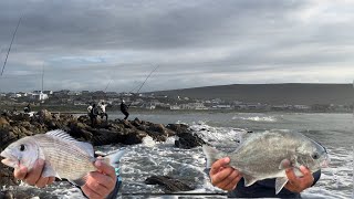 Fishing in Cape AgulhasStruisbaai MUSSELCRACKERGALJOEN [upl. by Delle621]