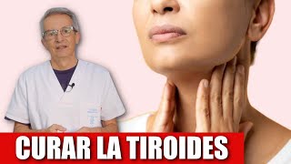 Están CONECTADOS tus MICROBIOS INTESTINALES y tu TIROIDES [upl. by Ylelhsa]