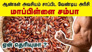 மாப்பிள்ளை சம்பா அரிசி பயன்கள்  Top 10 Health Benefits of Mappillai Samba Rice  Rice Health Tips [upl. by Bubalo]