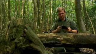 Ray Mears  How to look after your axe Bushcraft Survival [upl. by Yentruoc]