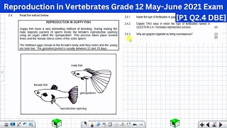 Reproduction in Vertebrates Life Sciences Grade 12 Exam Questions MayJune 2021 P1 Q24 DBE [upl. by Aronal717]