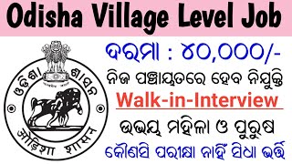 Odisha Village Level Job Recruitment 2024  Salary  40000 Per Month  Odisha Govt Job [upl. by Aicirtac]