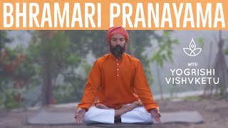 Benefits of Breathing Exercises Bhramari Pranayama [upl. by Slaohcin]