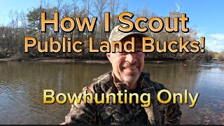 How I Scout Public Land Bucks For Bowhunting Success “Think Like A Deer” [upl. by Ojela]