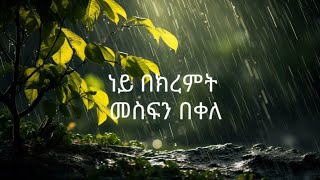 Mesfin Bekele መስፍን በቀለ NEY BEKIREMTLYRICS [upl. by Freida]