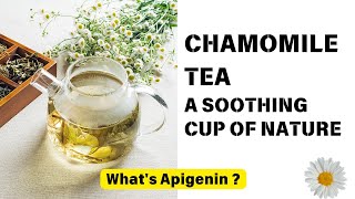 Chamomile Tea  A Soothing Cup of Nature  Whats Apigenin [upl. by Spohr]