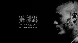 LIL SKIES  Lettuce Sandwich prod Menoh Beats Official Audio [upl. by Supmart233]