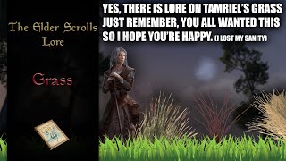 The Lore of Tamriels Grass  The Elder Scrolls Lore [upl. by Eselahc]