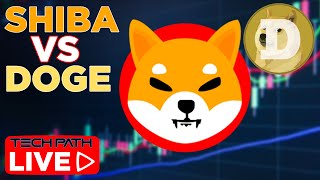 Will Shiba Inu Surpass Dogecoin  SHIB vs DOGE Sentiment Analysis [upl. by Burtie867]