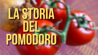 La STORIA del POMODORO [upl. by Bock362]