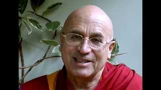 Matthieu Ricard  On Meat Eating in Tibetan Buddhism [upl. by Leahcir881]