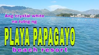 playa papagayo beach resort subic zambales [upl. by Leorsiy626]