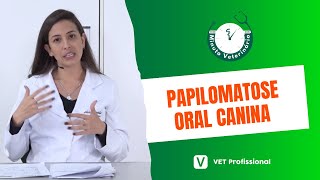 Como prevenir y curar La papilomatosis o verrugas en Bovinos🌄🐮Papilomatose ou verrugas em bovinos [upl. by Aicylla]