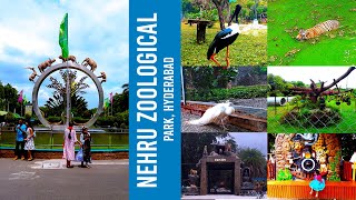 Nehru Zoological Park Hyderabad  Hyderabad Zoo  Exploring Wildlife Wonders in Indias Premier Zoo [upl. by Ibbed]