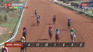 Live Hippodrome « SETTAT »  Courses du « 03062023 » [upl. by Ricard619]