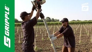 Installing Metal Vineyard Posts feat Gripple Petrol Driver [upl. by Aekerly692]