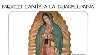 México le canta a la Virgen de Guadalupe 1982 Disco Completo [upl. by Marjory467]