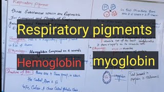 Respiratory pigmentsHemoglobinmyoglobinpashto detail lectures [upl. by Naivat]