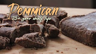 How to make Low Tech Pemmican  Survival food that lasts over 25 years [upl. by Nidorf676]