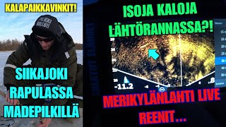 SIIKAJOKI MADEPILKKIÄ JA MERIKYLÄNLAHTI LIVE REENIT  Siikajoki Madepaikka valosalla ja MERIkyläL [upl. by Skvorak290]