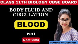 Blood and its Components Plasma  Body fluid and circulation  Class 11  Neet 2024 [upl. by Steffane]