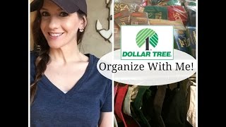 Organize With Me  DOLLAR TREE Storage  Hat Organizer [upl. by Seuqram]