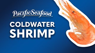 How Coldwater Shrimp is Sustainably Harvested  Full Documentary  Pacific Seafood [upl. by Lief781]