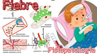 Fisiopatología de la Fiebre Bases inmunológicas [upl. by Krispin]