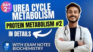 Urea cycle biochemistry  urea synthesis biochemistry  protein metabolism biochemistry [upl. by Furnary728]