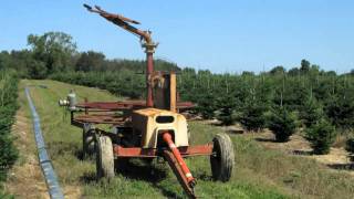 Irrigation Systems for Christmas Tree Production [upl. by Montano]