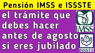 Pensión IMSS e ISSSTE el trámite que debes hacer antes de agosto si eres jubilado [upl. by Elyc928]