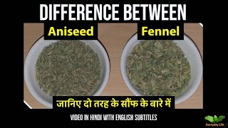 Difference between Aniseed and Fennel  Sauf  दो तरह के सौंफ पतली और मोटी सौफ  Everyday Life 81 [upl. by Nonnaer395]