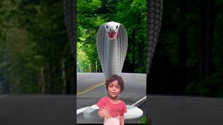 white king cobra kidsvideos shorts viral newvideo trending [upl. by Mehelhteb]