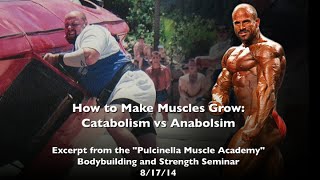 How to Make Muscles Grow Catabolism vs Anabolism [upl. by Neirod440]