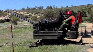 Hellenic AA guns Mk20 Rh202 firing [upl. by Eilrebma62]