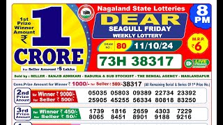 🔴LOTTERY 8PM RESULT 111024  DEAR LOTTERY RESULT [upl. by Mavilia]