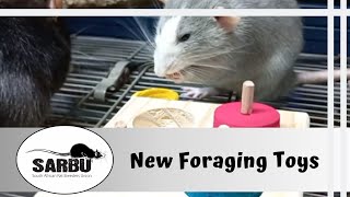 Foraging Toys by Rat Angels Rodent Rescue and Pet Things [upl. by Novert902]