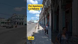 🔥LOS 3 DE LA HABANA PODCAST LIVE 🔴 [upl. by Sumedocin]