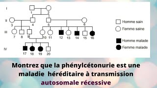 Bac svt  arbre généalogique [upl. by Doig]