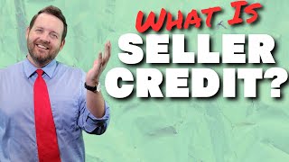 What is SELLER CREDIT AKASeller Concessions when Buying a Home [upl. by Earesed]