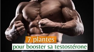 7 Astuces pour augmenter RAPIDEMENT la testostérone chez l’homme💪💪💪 [upl. by Norabel]