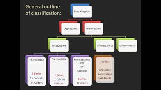 Bentham and Hooker system of classification of flowering plants [upl. by Hort]