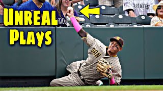 MLB \\ Top Plays June 2023 [upl. by Ferretti]