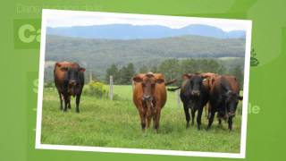 Programme pilote dappui à la multifonctionnalité de lagriculture  MAPAQ [upl. by Doomham]