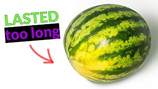 A WHOLE WATERMELON  My longest time lapse ever [upl. by Herson]